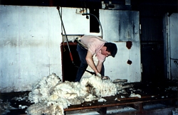 Shearing