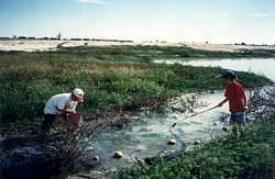 Yabbying