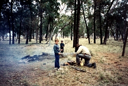 Forest BBQ